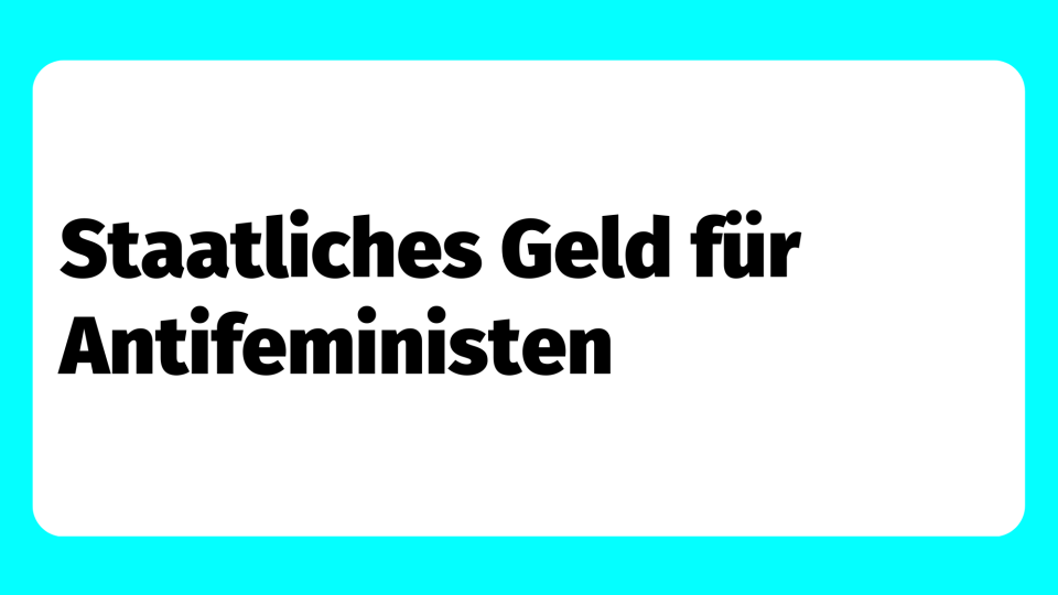 Teaserbild: Staatliches Geld für Antifeministen