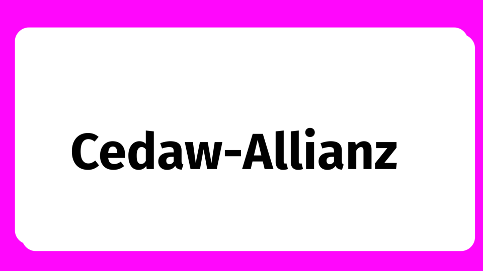 Text Cedaw-Alianz