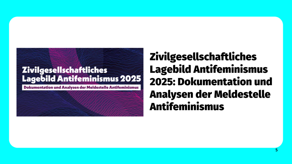 Zivilgesellschaftliches Lagebild Antifeminismus 2025