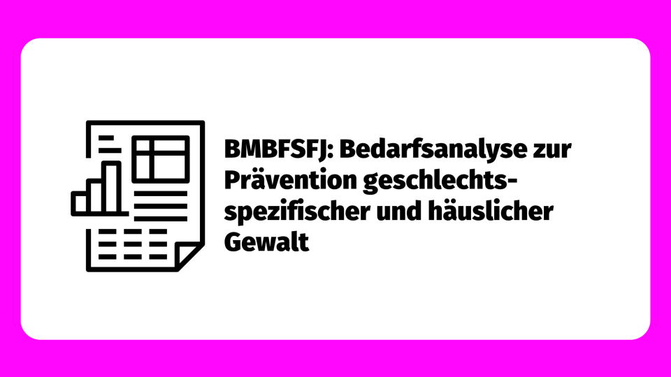 Bedarfsanalyse zur Prävention geschlechtsspezifischer und häuslicher Gewalt