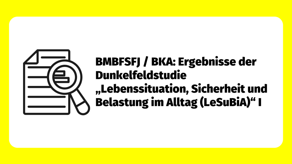 Ergebnisse der Dunkelfeldstudie „Lebenssituation, Sicherheit und Belastung im Alltag (LeSuBiA)“ I 